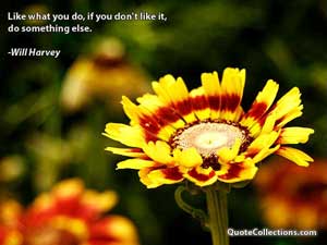 will_harvey_quotes Quotes 4